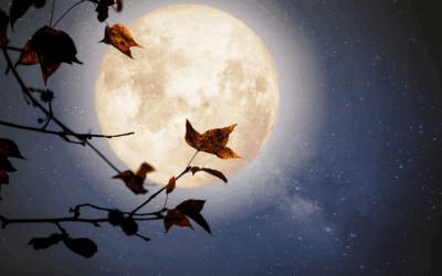 Working With Dreams in Therapy: What to Expect